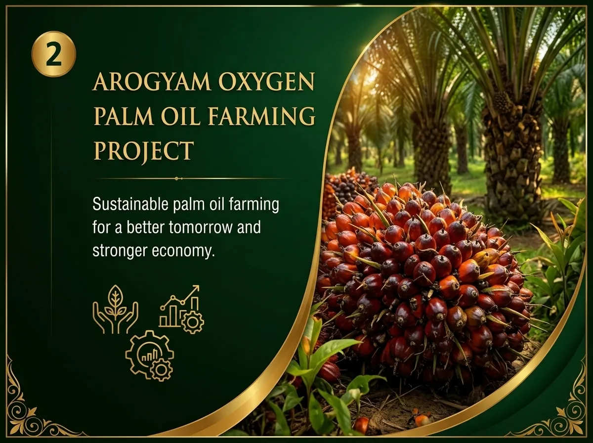 Palm Oil Farming